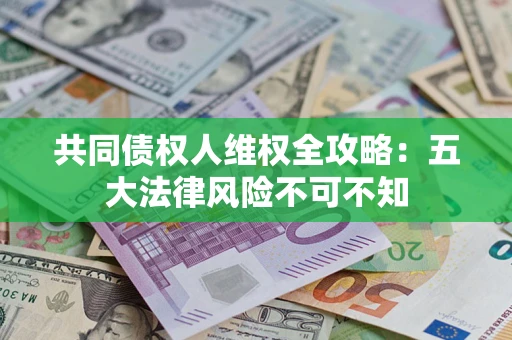 武汉共同债权人维权全攻略：五大法律风险不可不知