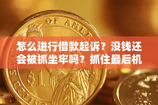 武汉怎么进行借款起诉？没钱还会被抓坐牢吗？抓住最后机会！