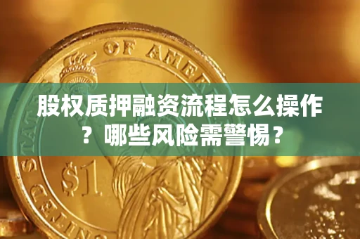 武汉股权质押融资流程怎么操作？哪些风险需警惕？
