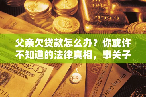 武汉父亲欠贷款怎么办？你或许不知道的法律真相，事关子女未来