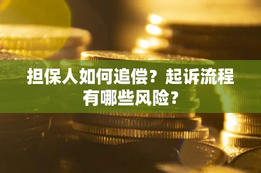 武汉担保人如何追偿？起诉流程有哪些风险？