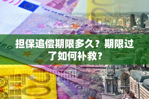 武汉担保追偿期限多久？期限过了如何补救？
