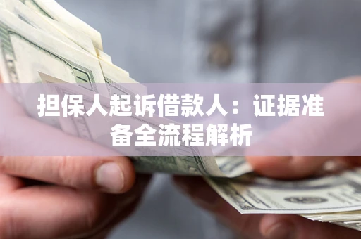 武汉担保人起诉借款人：证据准备全流程解析