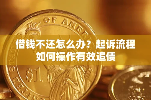 武汉借钱不还怎么办？起诉流程如何操作有效追债