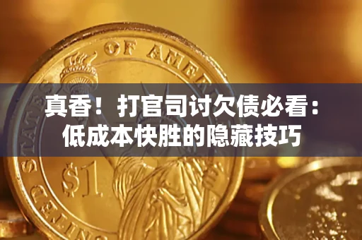 武汉真香！打官司讨欠债必看：低成本快胜的隐藏技巧