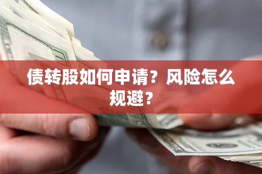 武汉债转股如何申请？风险怎么规避？