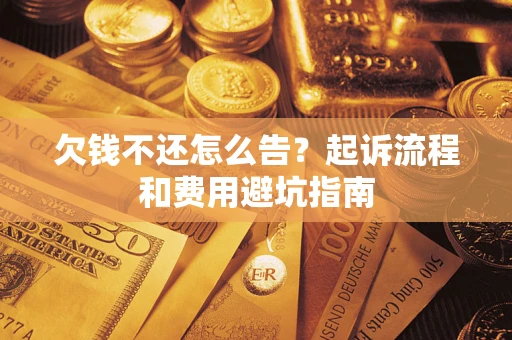 武汉欠钱不还怎么告？起诉流程和费用避坑指南
