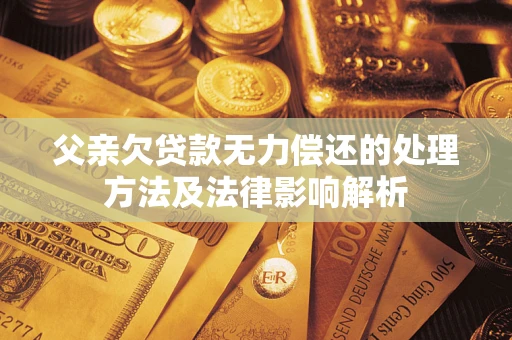 武汉父亲欠贷款无力偿还的处理方法及法律影响解析