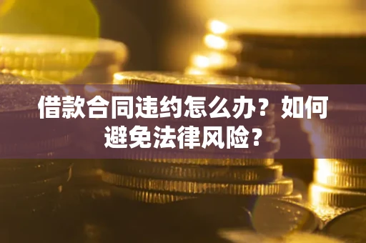 武汉借款合同违约怎么办？如何避免法律风险？