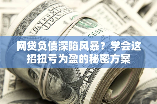 武汉网贷负债深陷风暴？学会这招扭亏为盈的秘密方案